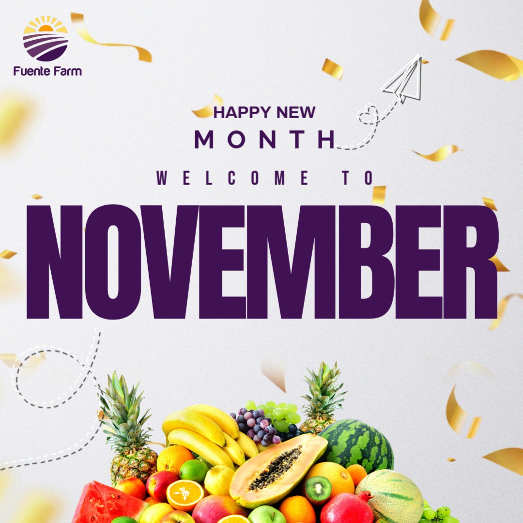 Fuentefarm's tweet photo. In every seed planted, there is a promise of abundance. Each small act, each effort, holds the power to grow beyond what we can see. Let’s keep planting, keep Nurturing, and watch abundance unfold.

Happy new month from all of us at Fuente farm limited.

#Happynewmonth #November https://t.co/ULDZckRE7V