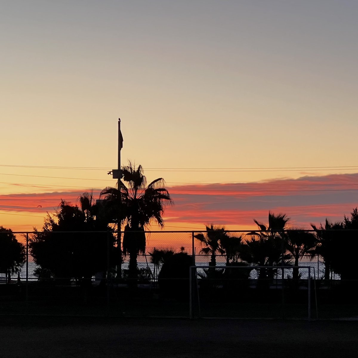 tprkrtl's tweet image. kahrolası miami özlettin kendini