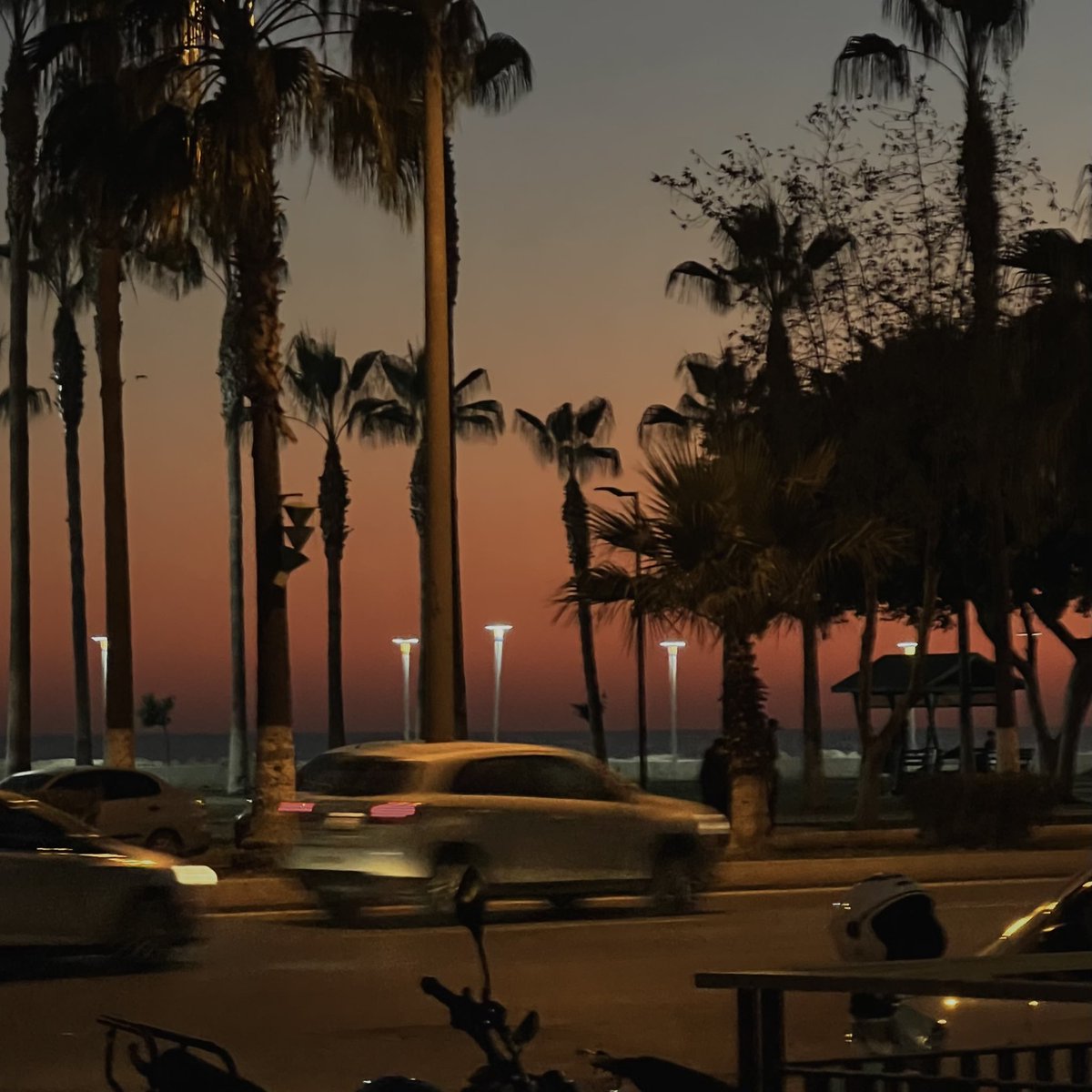 tprkrtl's tweet image. kahrolası miami özlettin kendini