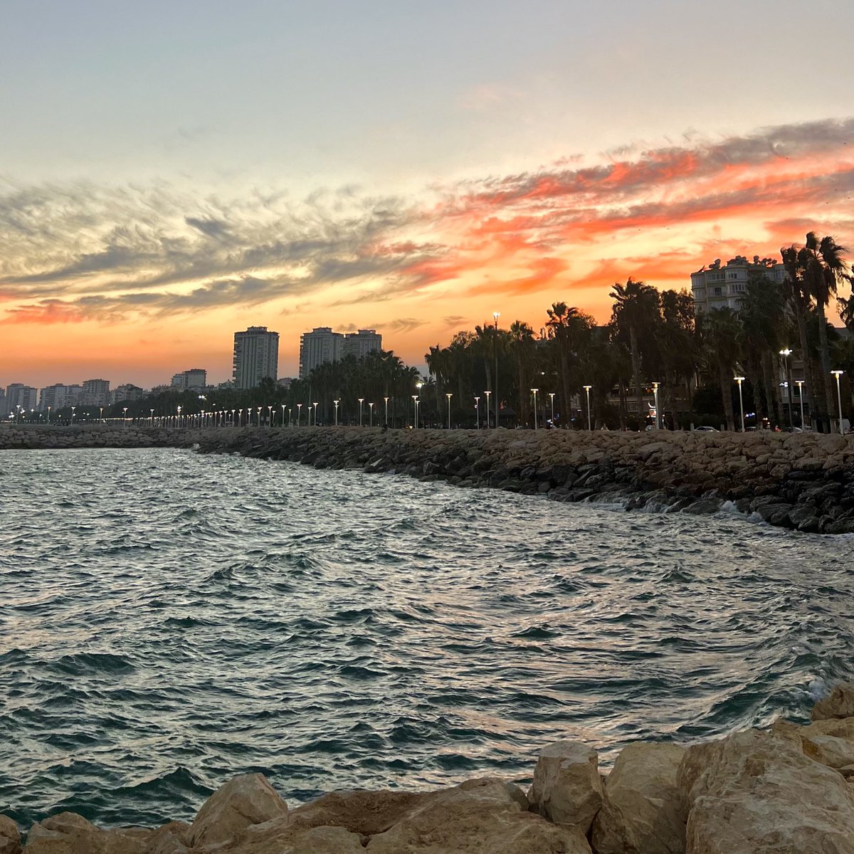 tprkrtl's tweet image. kahrolası miami özlettin kendini