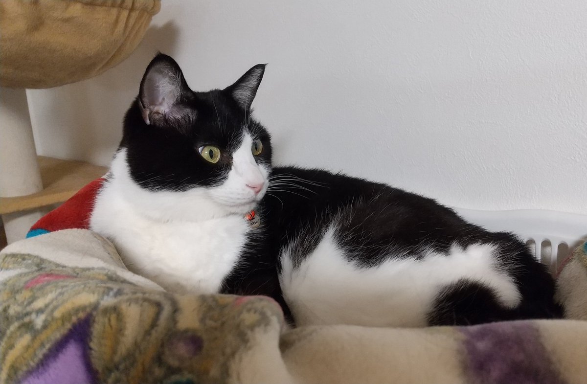 6月VIP 10%off中) メル25773です❣️0621 6月VIP 10%off中) メル25773