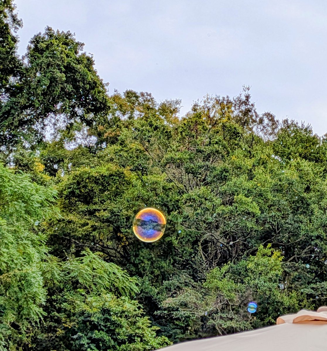 snoopy12317's tweet image. #しゃぼん玉
#GooglePixel10

久しぶりに大量のしゃぼん玉を近くで見た（笑）
天気と場所のせいか？上手く撮れないんだよなー😅