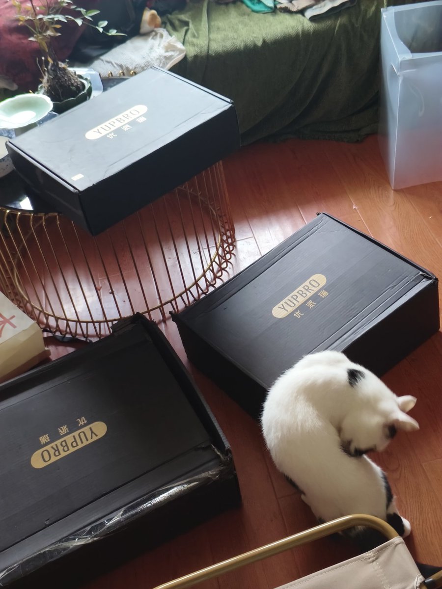 我家最多的就是这破玩意。