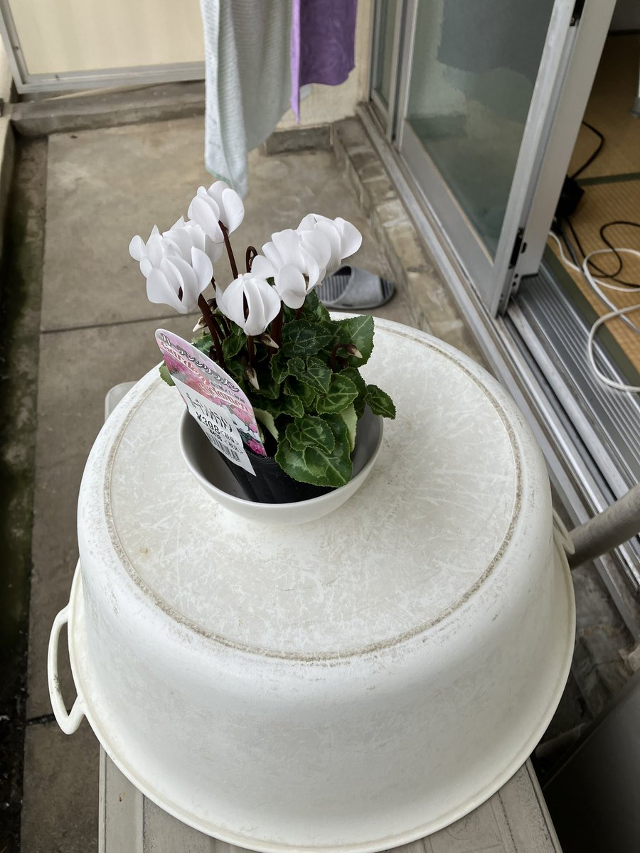 彦爺 LEGO Ninjago Cole Minifigure ZX with Armor Black Ninja