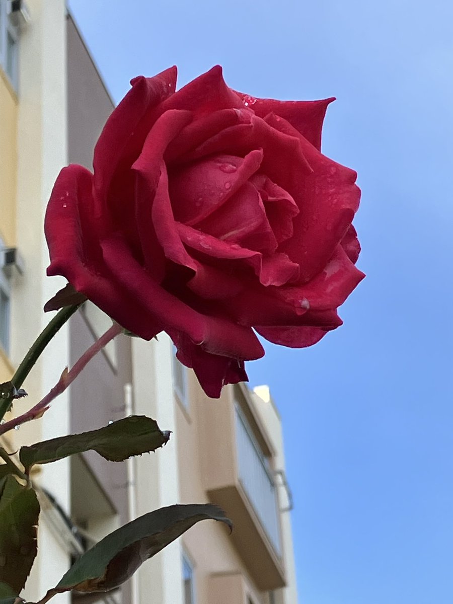 彦爺 China Auto Engine Spare 4HK1 Exhaust Brake Unit 8-98348729-0