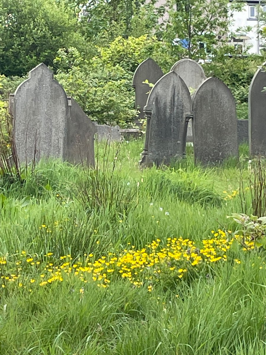 Friends_StJohns's tweet photo. Happy All Saints Day everyone😇
We're very sad to not have more #31DaysOfGraves to post about, but very pleased to have been part of it. There's been so many great interactions and we've learned so much.
Thank you all, especially @annaandthedead for making it a thing. https://t.co/3iLuKAMybA
