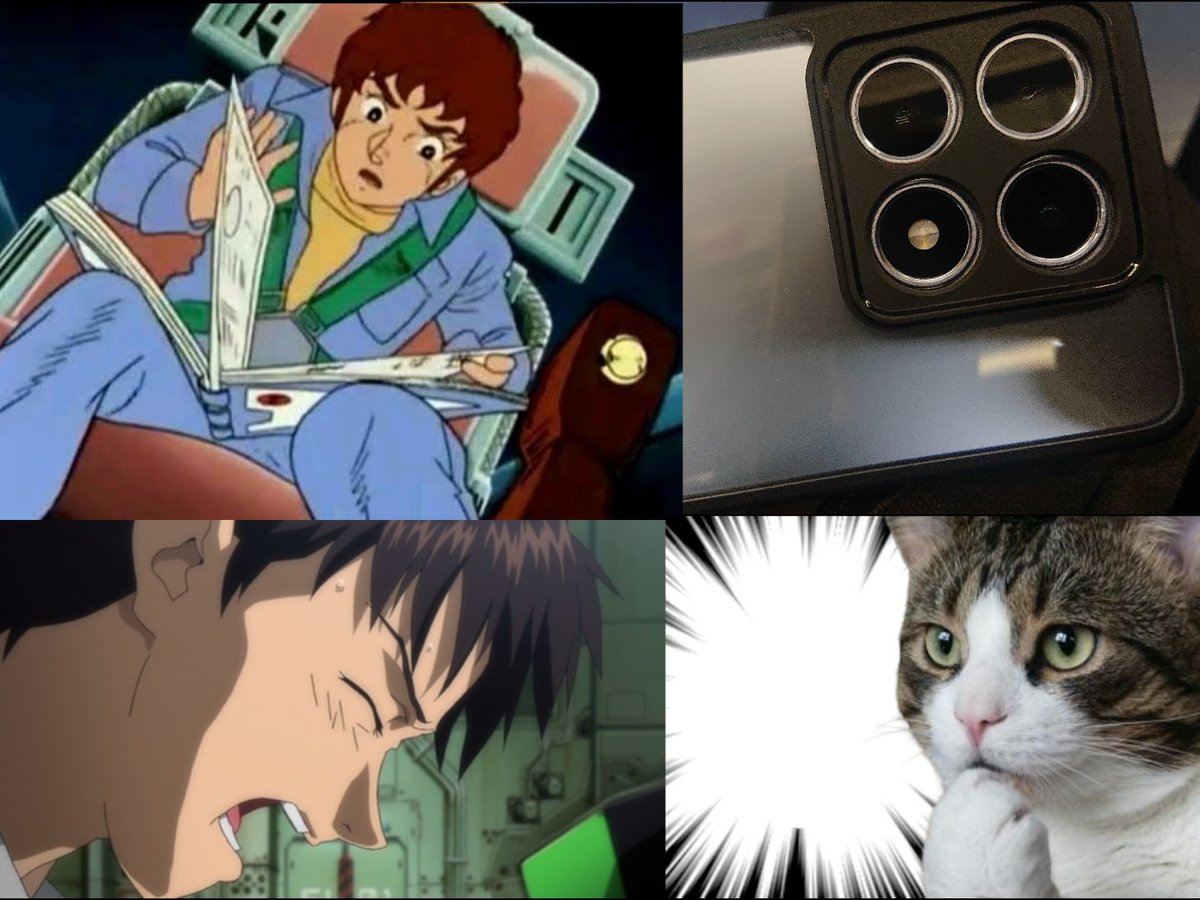 ネコちゃん様 ねこちん🐾 on X