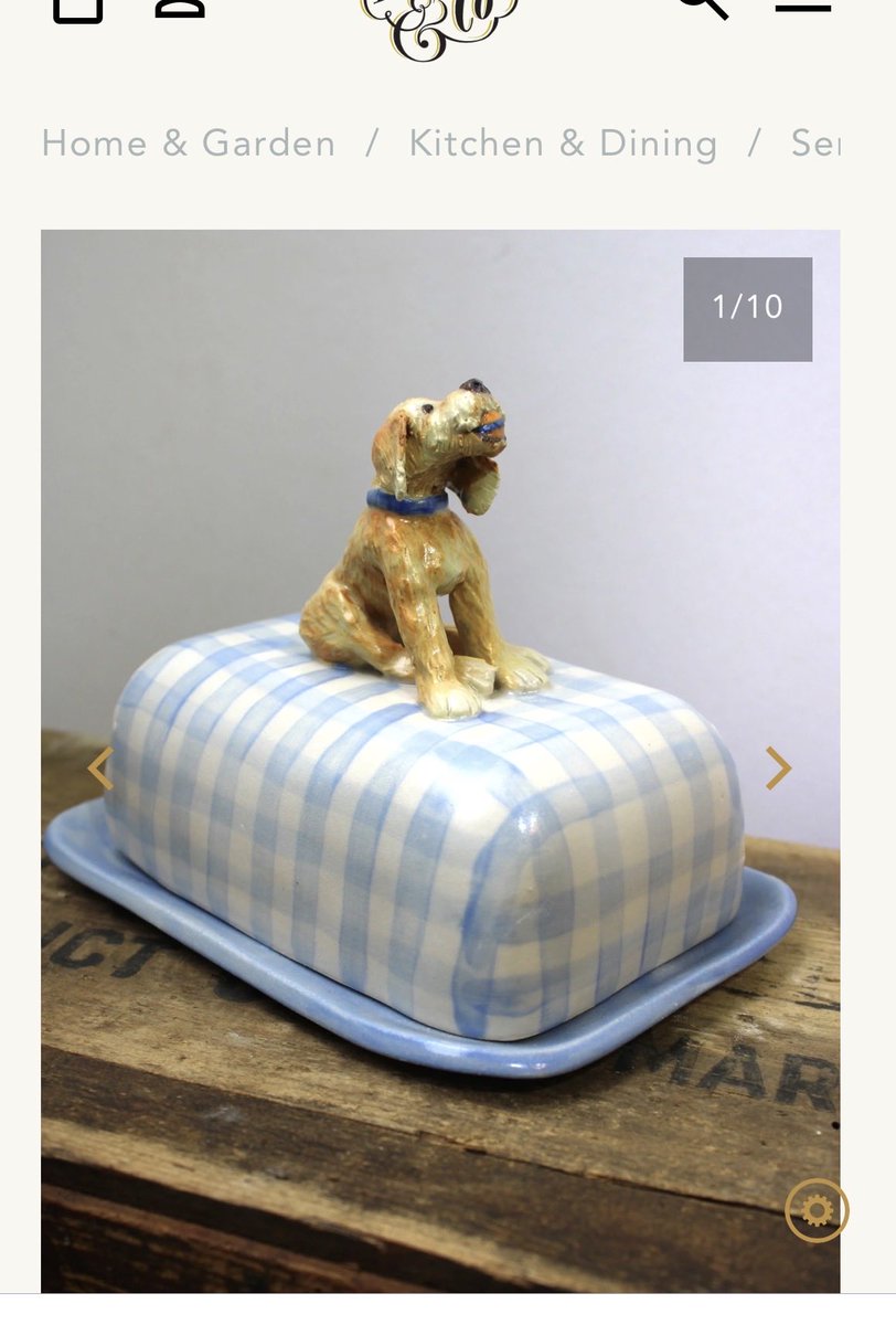 Chasing Badger tweet media