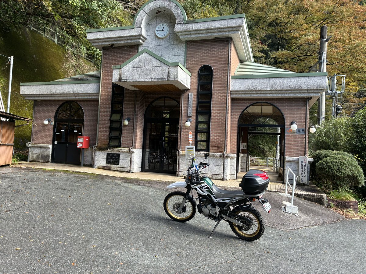 ZAZA COYOTE WOLF ダウンヒル　フリーライド ZAZA COYOTE WOLF ダウンヒル フリーライド ZAZA COYOTE WOLF