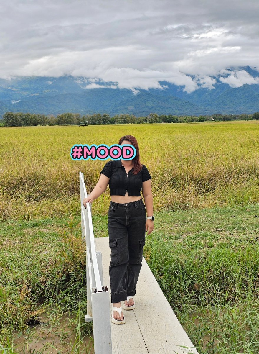 hyper_lp's tweet image. หน้าหนาวอะไรน๊าาา ฝนยังตกอยู่เลยย 
ชอบความมีหมอก มีฝน 💦⛰️🌧️ #มอนอ #พิษณุโลก