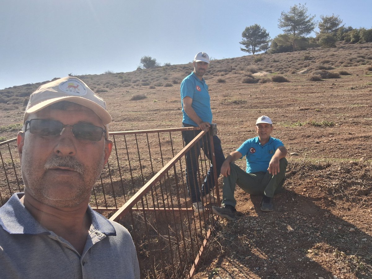 Ülkemiz nadir ve nesli tehdit altında bulunan üst düzeyde korunan karasal memelilerinden birisi olan Çizgili sırtlanların (Hyaena hyaena) Hatay ilindeki yayılışları ve türün yaşam ortamlarında türü olumsuz etkileyen riskleri belirleyerek olumsuz etkilerin azaltılmasına yönelik