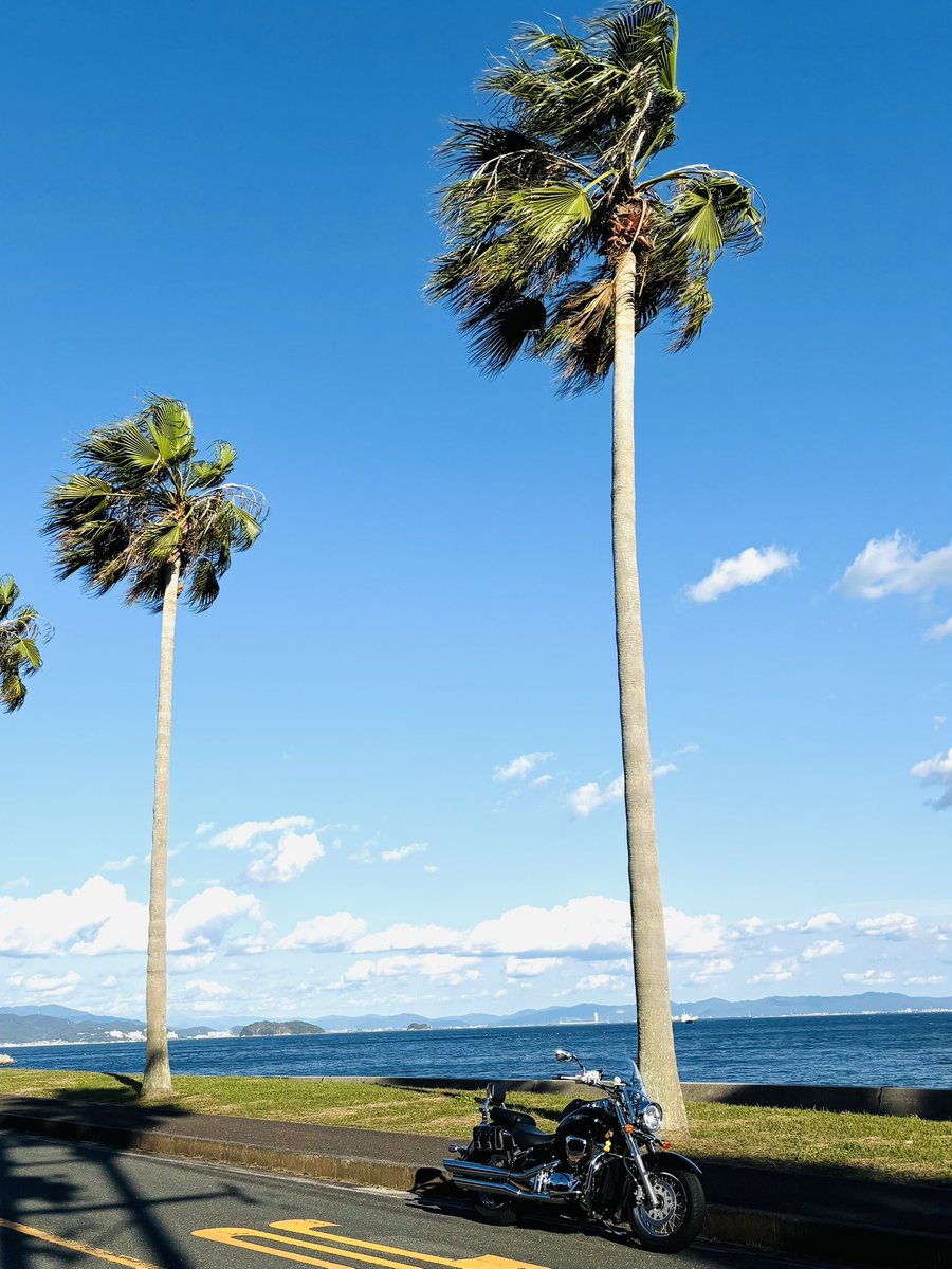 太陽の樹 2026年モデル Ninja ZX-4R 適合製品情報① | TRICK STAR 製品 | TRICK