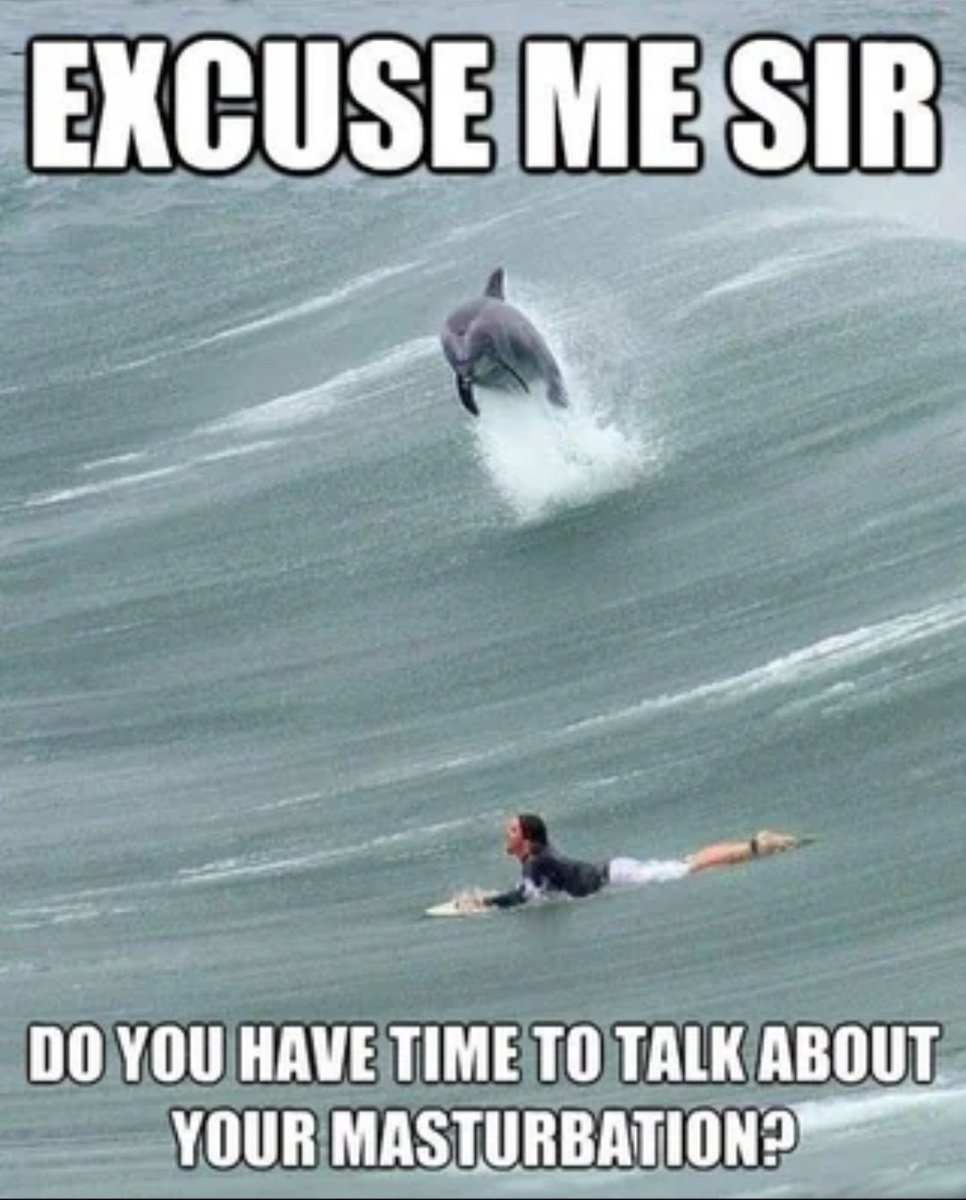 R00G69420's tweet image. Retain your seed, retain your bags - Fappy verse 69:420