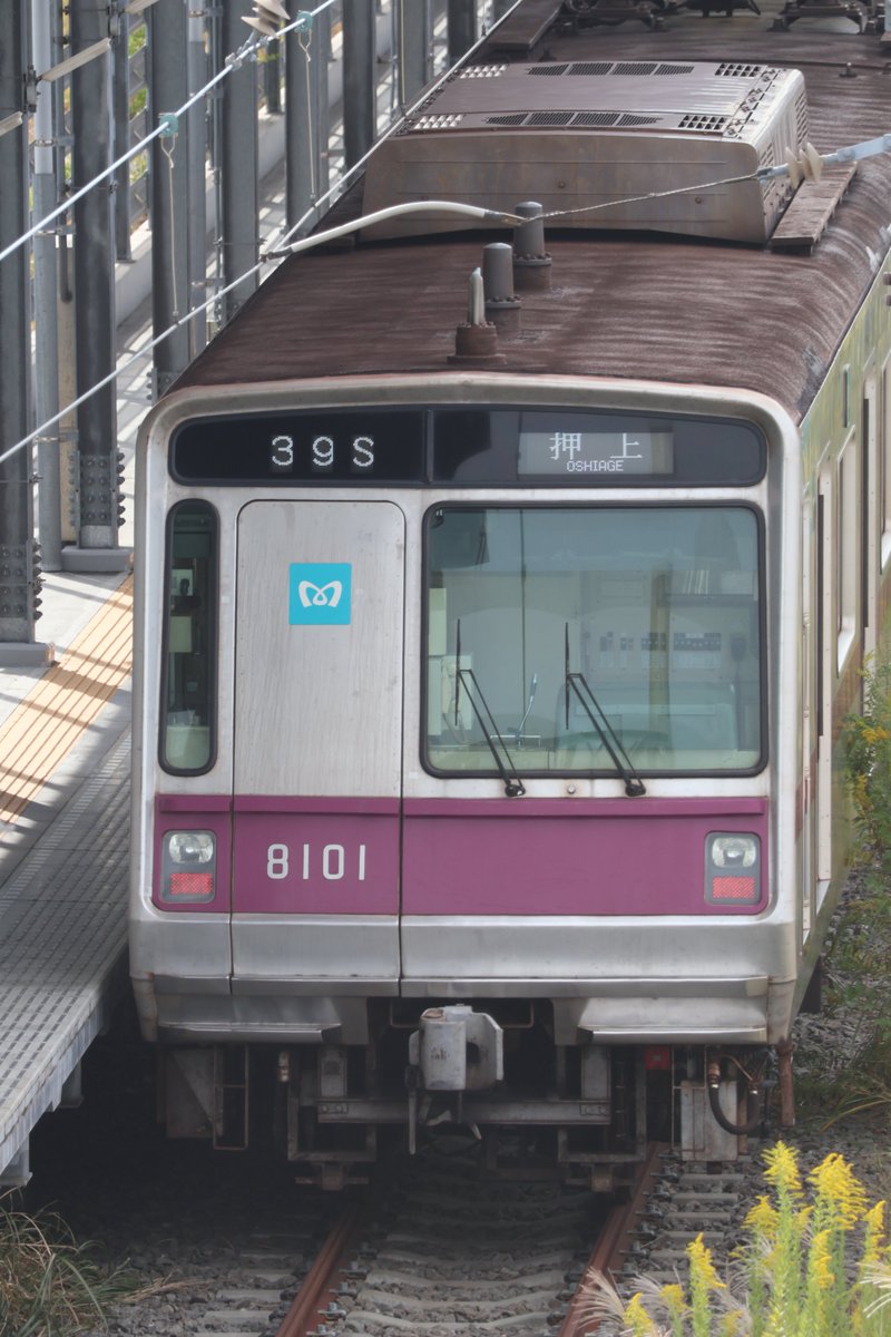 専用ページです(*^^*) 安全靴 （先芯あり） 紐 ローカット ジーベックXEBEC 85158