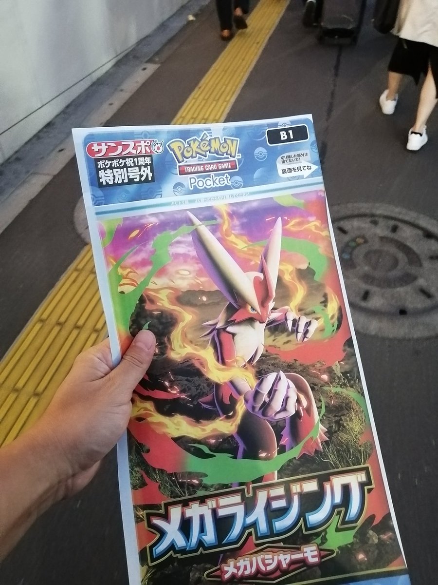 This is by Saito Naoki】ピカチュウ ともだちをさがす This is by