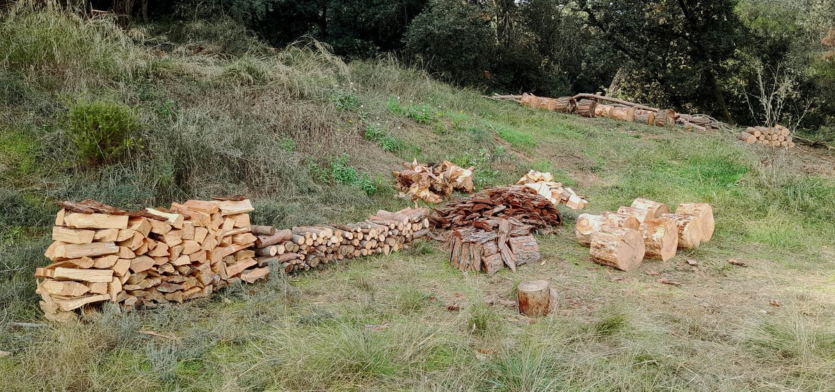 Bon dia, 
Gent de la Garriga, Corró d'Avall, Lliçà d'Amunt, Sta Eulàlia o Granollers, .. tenim #slowllenya de proximitat per vendre. Entregues de 100kg. 
DM o mail a llenya@xerrac.cat si us interessa.
Salut!