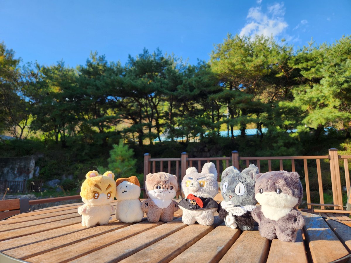 동물원에서 동물정모했어요