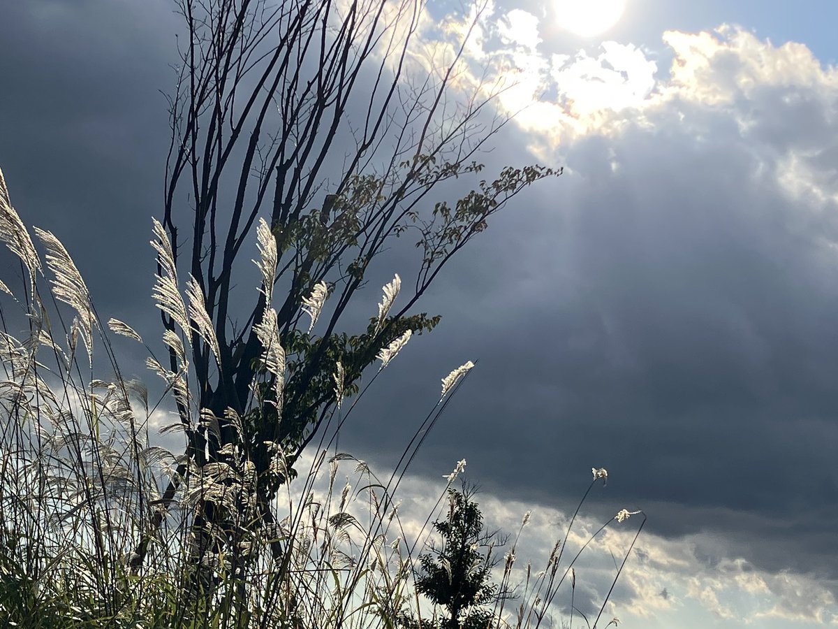 ❤さくら(桜来)さま❤NoteMakingEnergy❤ 250420 EASY CRAZY HOT Day2 - 最棒的人