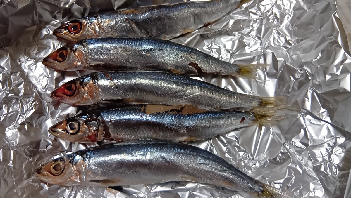 🎣せーいち⛺️🏍️💨 (@flyfishingrider) / Posts / X