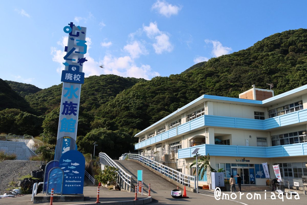 moromiaqua's tweet photo. 今日は高知県、#むろと廃校水族館 へ行きました。
その名の通り、廃校を水族館へと転用した建物で、至るところに小学校の要素があって面白かったです。25メートルプールを泳ぐサメとかもすごい発想。
近くには室戸岬もあるので立ち寄り。灯台にも行きたかったのですがはるか山の上なので断念😭 https://t.co/LASQAGJP0r