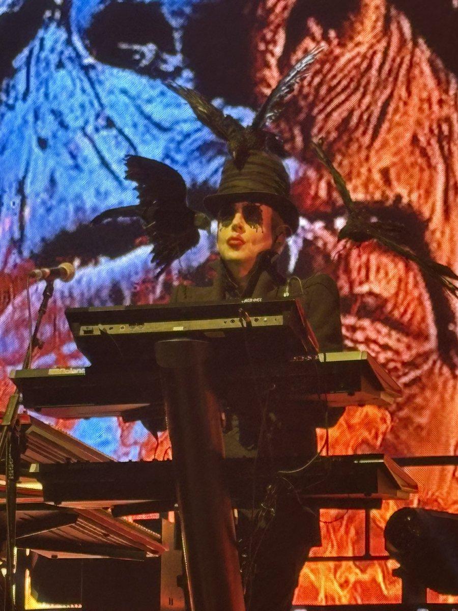 Chrissie Aplin tweet media