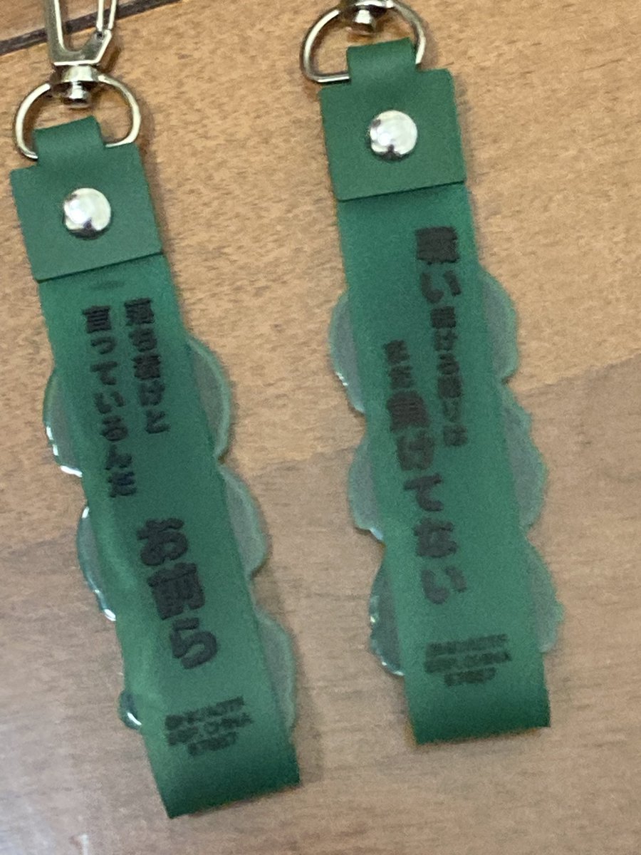 大人組推しマンのワイ、大歓喜のグッズ手に入れた！
旧リヴァ班とミケすんのグッズは貴重だから嬉しい
欲を言えばオルペトとモブリットも入れて欲しい､､､笑