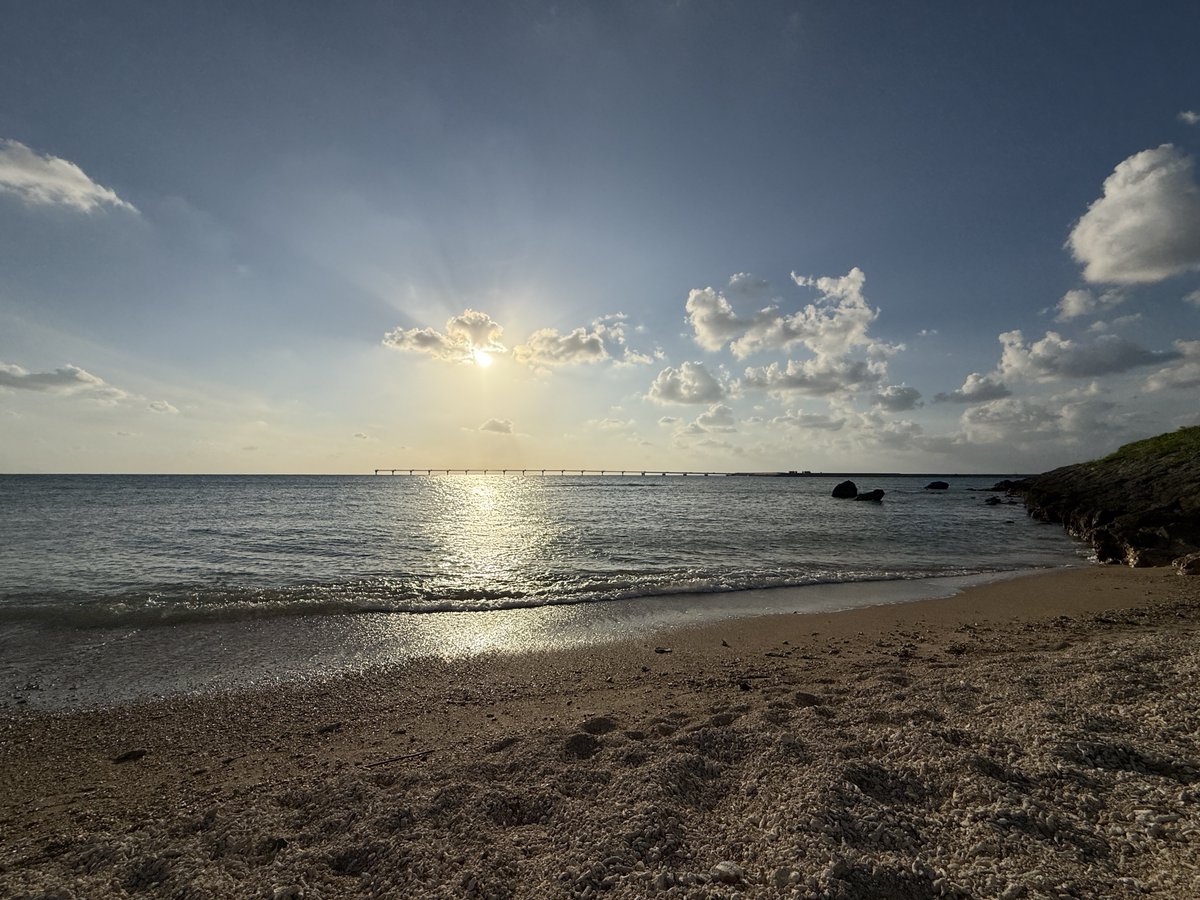 今朝思い立っての急遽那覇
この時期にしてはなかなか良き！（なはず…）
