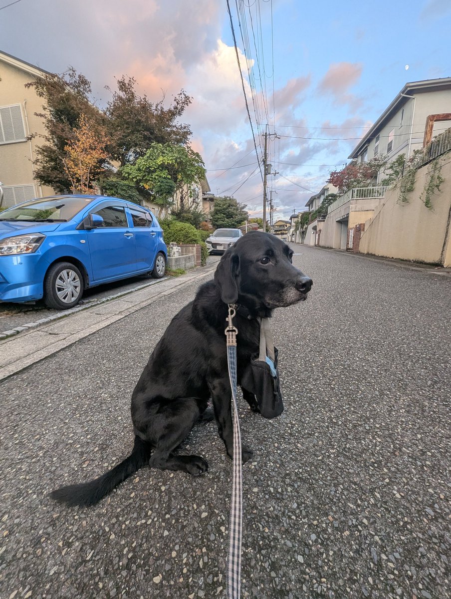 JIG男(ジグオ)☆敗北しか知らない on X