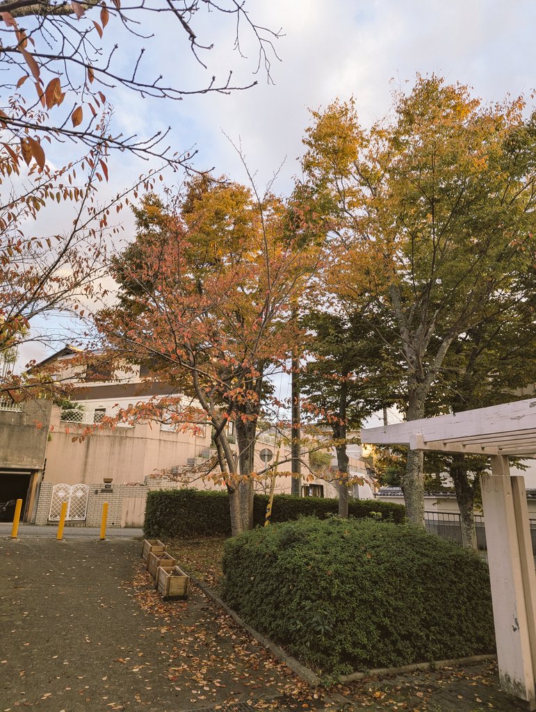 JIG男(ジグオ)☆敗北しか知らない on X