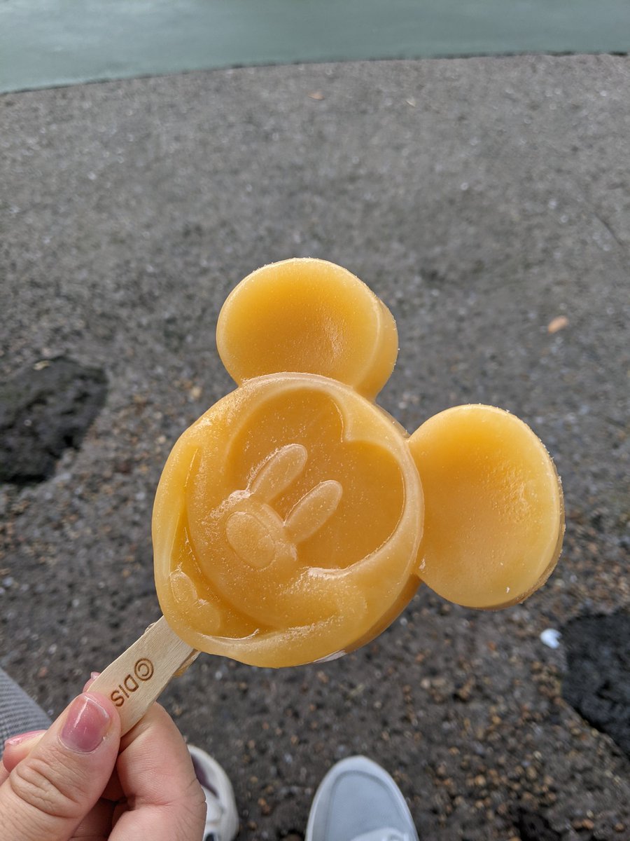 ディズニーランド