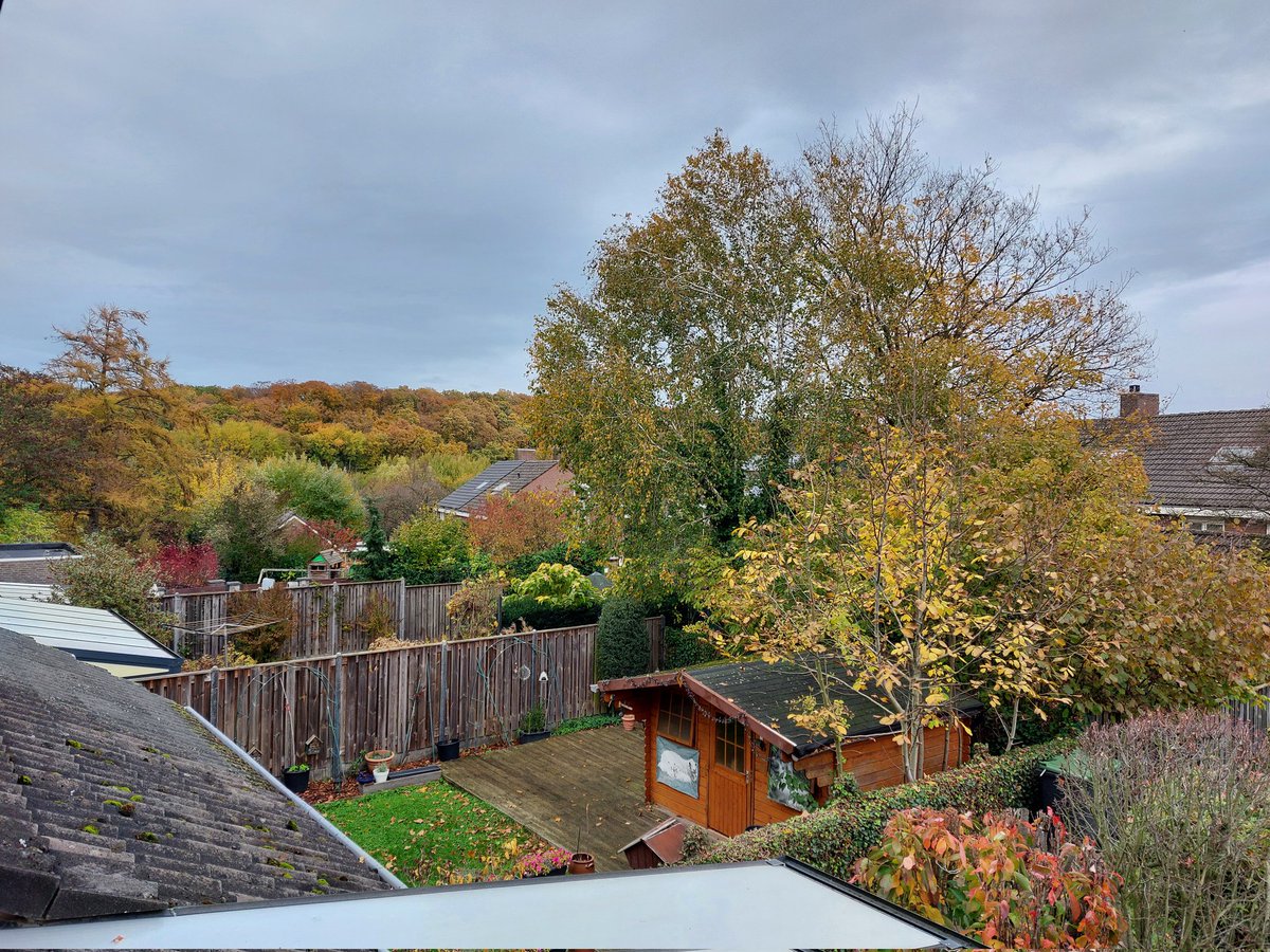 mathildeontwit's tweet image. Goedemorgen en fijn weekend!
Het bos neemt alle kleuren aan 🍂🍁