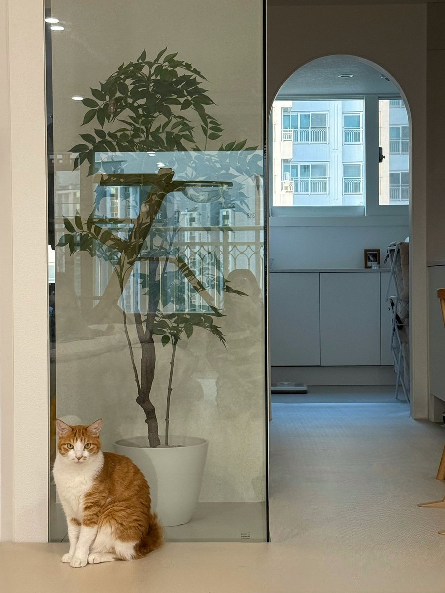 with_mgrk's tweet image. 