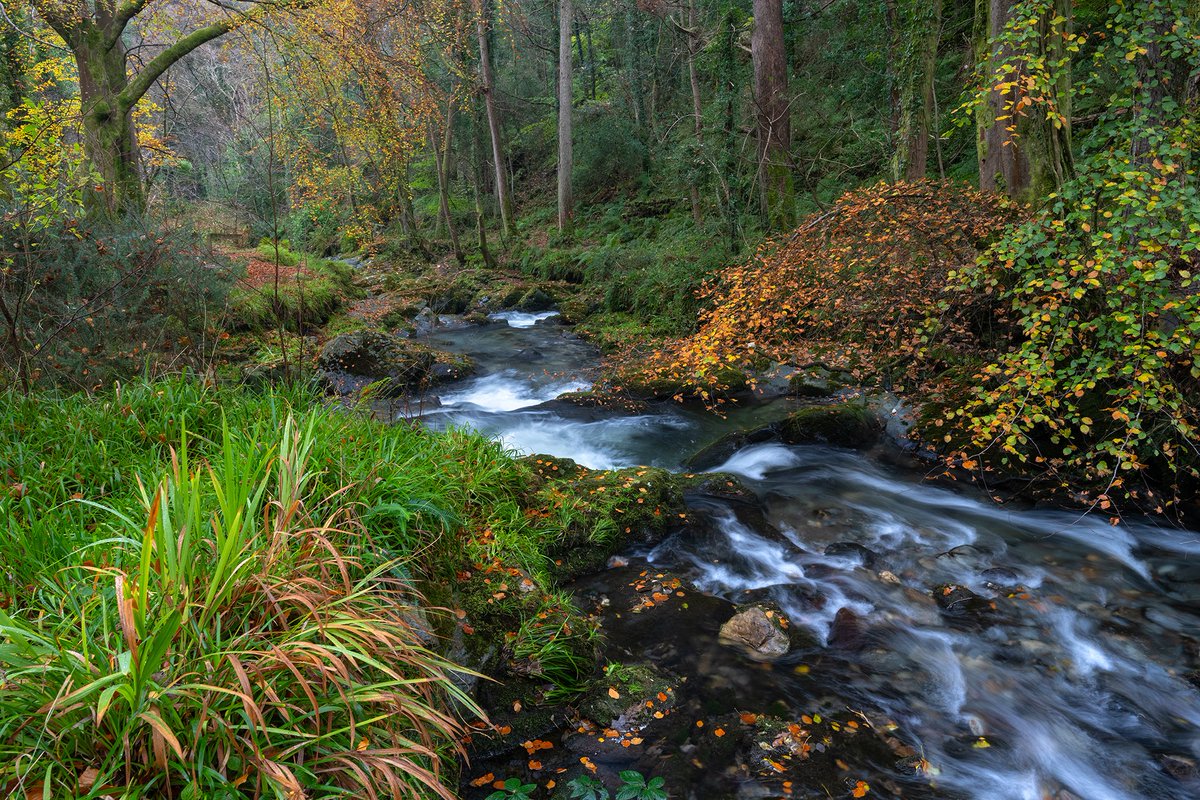 Ballaglass Glen looking especially beautiful with its display of autumnal colours at their peak. This particular spot is a favourite of mine having shot it many times before all in pursuit of that perfect autumn image. Still not got it but getting closer! 🍂 #iom #isleofman