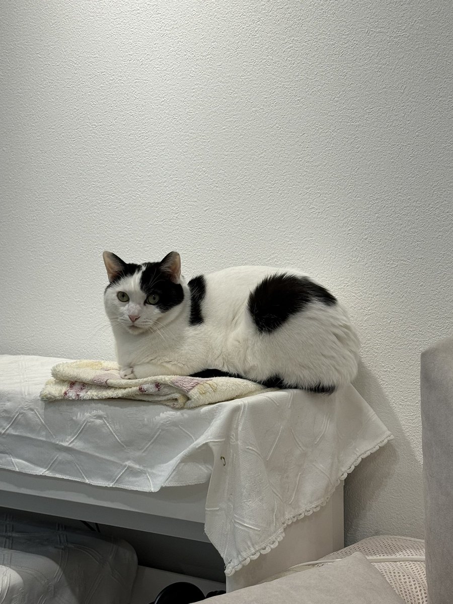 with_mgrk's tweet image. 