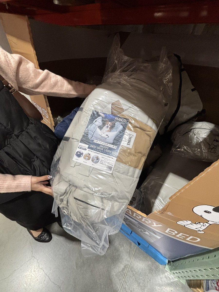 猫さん 猫さん Buy ZX 700 - B34330 | GOAT