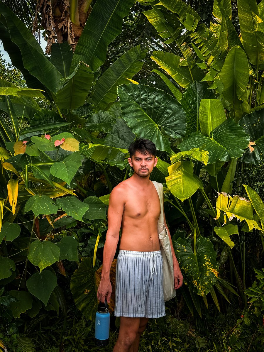 muffyustare's tweet photo. Holiday forecast: Pure paradise ☀️🍃 https://t.co/2xu9W8cFRa