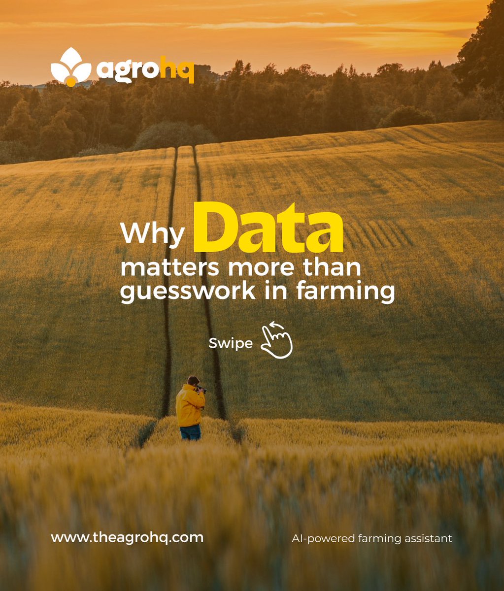 agrohq's tweet photo. Data Matters more than guesswork in farming. Check out Agrohq today.

#farming #FarmingTips #Agriculture #gardening #plants https://t.co/1jylA7KOpB