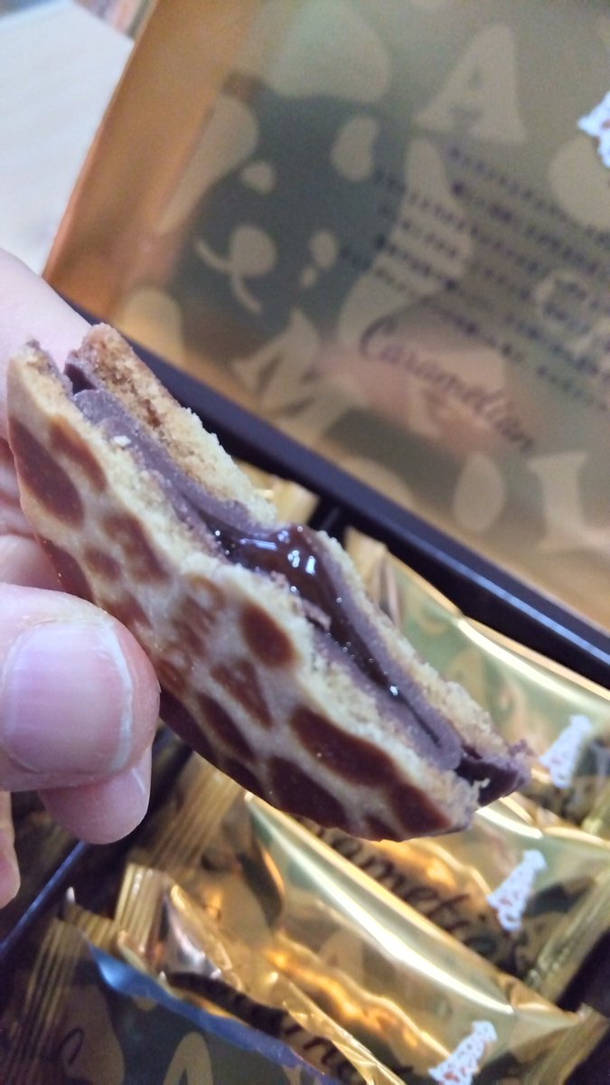 なっちゃん𓅓 on X