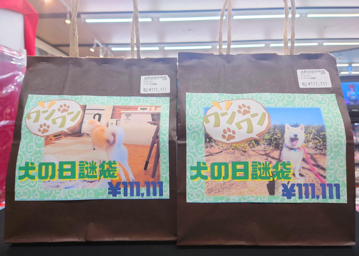 わんちゃんページ 51oqCnw5YZL._AC_UF350,