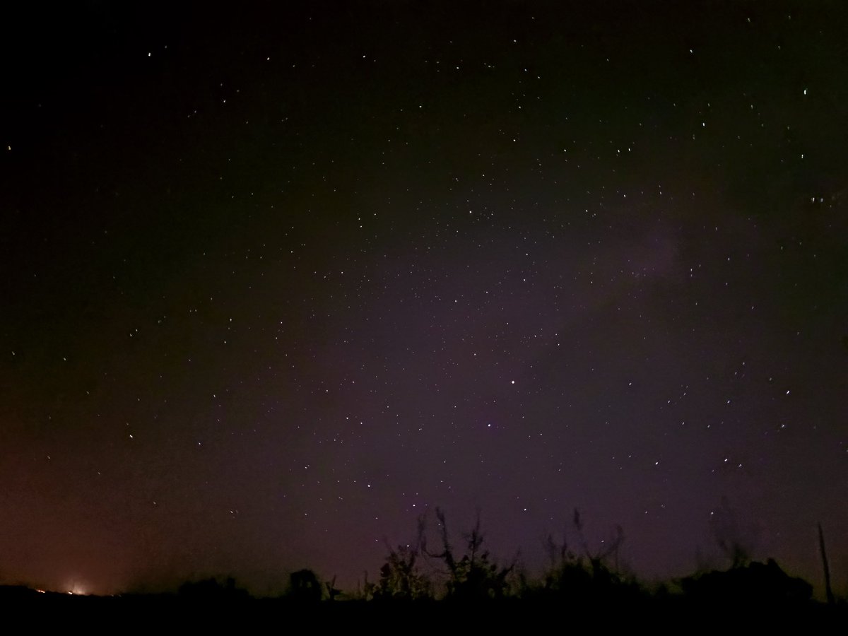 星空鑑賞🇦🇺
蠍座もくっきり見えましたよ♏️
ホロスコープもいいですが、実際に空の星を見ることも大事だなと感じています。

それにしても、スマホでこれだけの星が撮れるなんて、感激です！