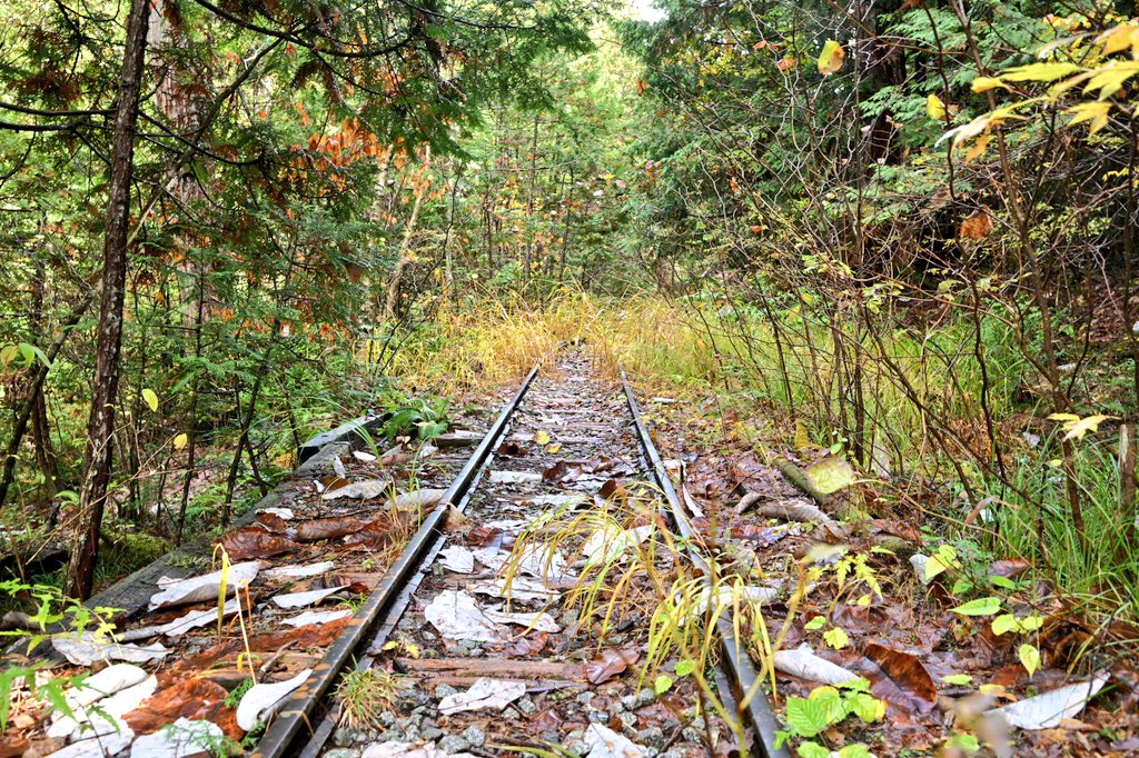 廃線跡…
