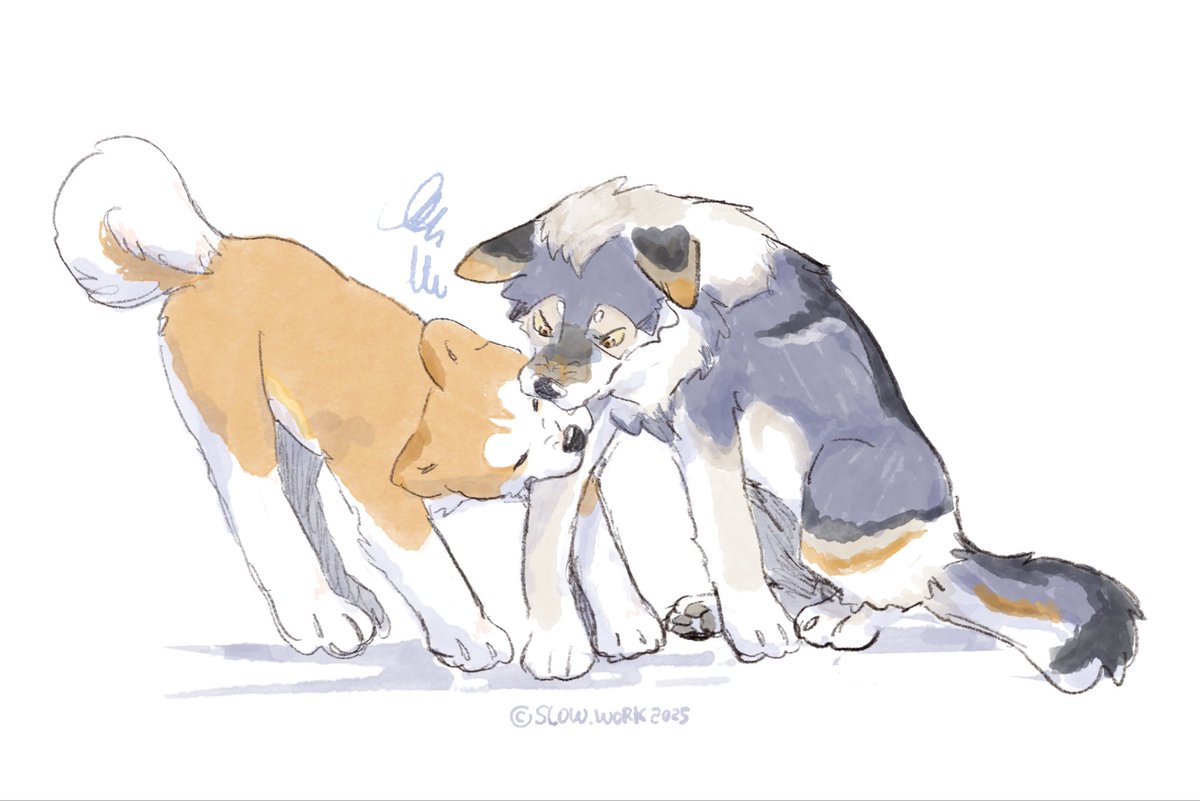 ワンワンーﾜﾝ 🐕✨

#犬の日