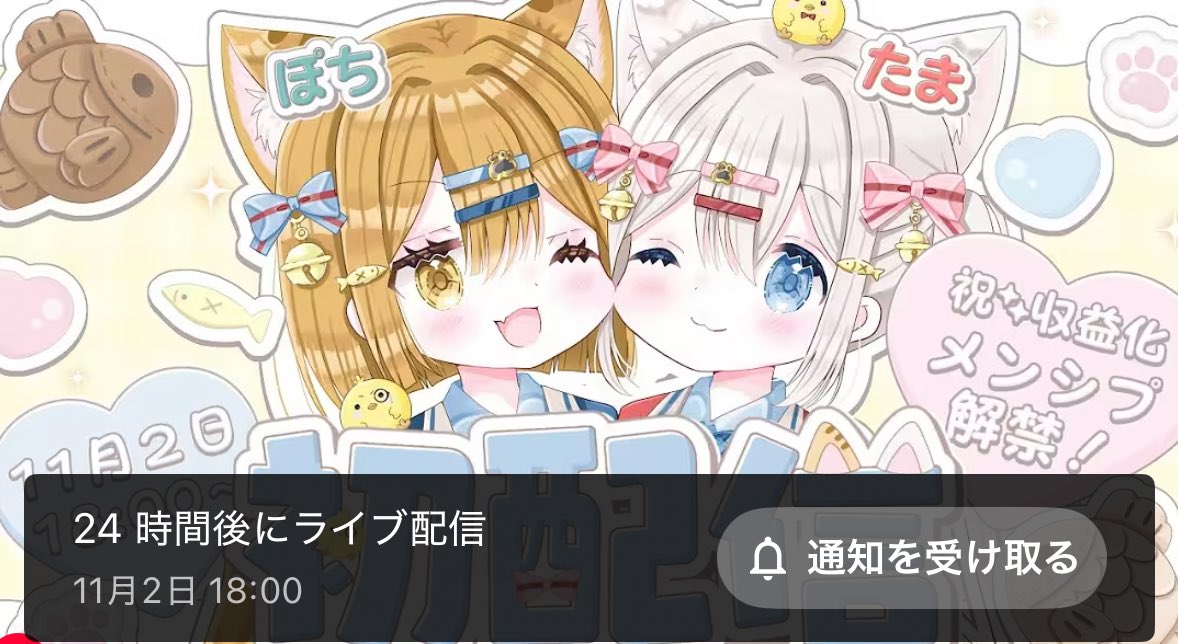 猫雪ぽち＆猫雪たま 𓏲𓎨🐾🤍 2025.11/2‎🤍18:00初配信 on X