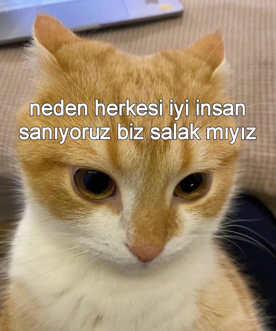 kaan (@bariskaanercan) on Twitter photo 