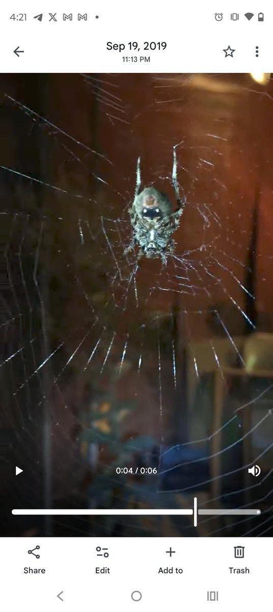 Kind Libertarian (@mituharamsky) on Twitter photo 