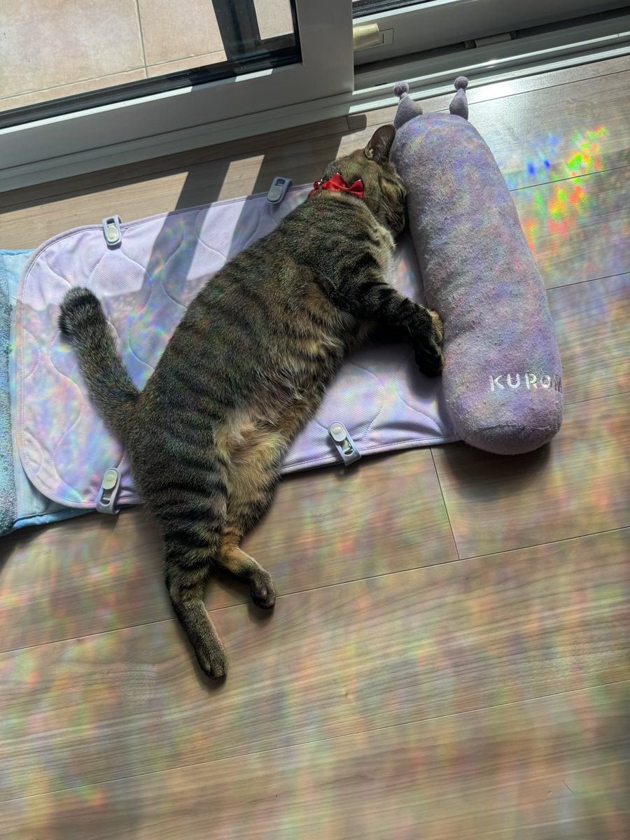 ニ ク。 (@jzx0183) / Posts / X