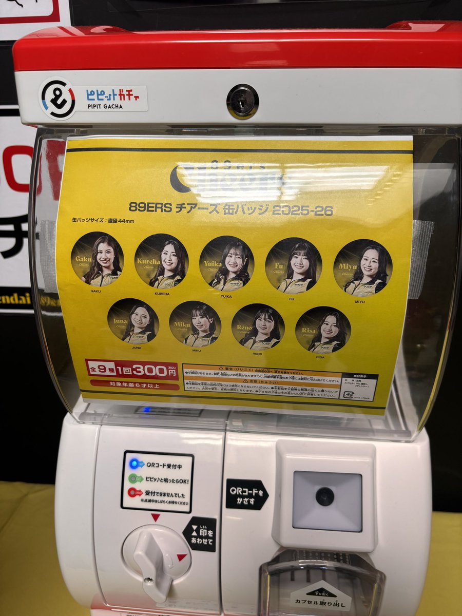 Rino様 スリクソン ZXi ハイブリッド N.S.PRO 950GH neo スチールシャフト