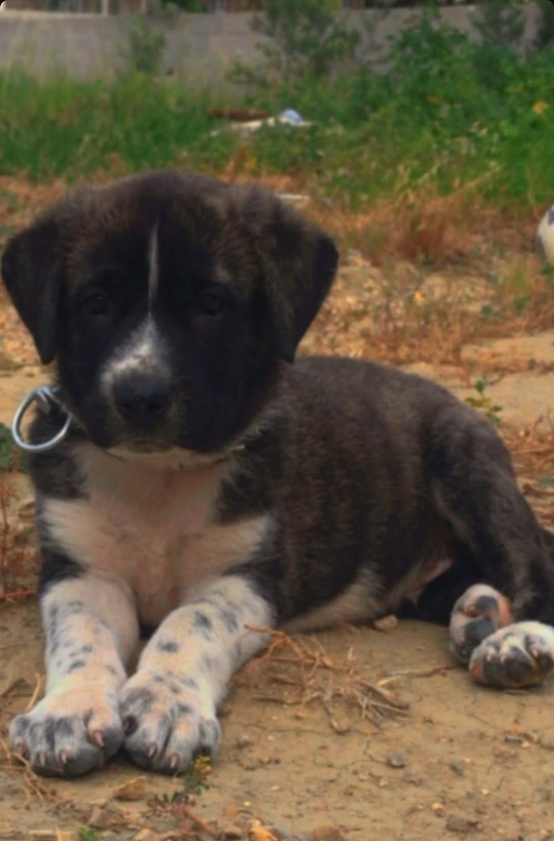 Farklılığınız iyilik olsun..!
Çünkü, kötülerden çok var..                              #Günaydın