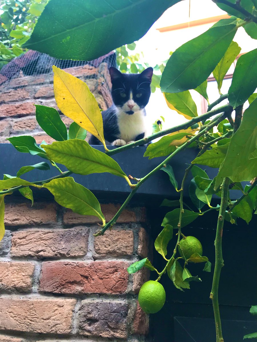 🤝☕️
#Günaydın.🌞 
Değerli Dostlarım.
Sevgili Arkadaşlarım.
Sevdiklerinizle..
Sağlıklı Mutlu.🙌🤣 
Huzurlu Keyifli.🌸☕️🍫
#BirHaftaSonu.🚲🎻🎼
#GeçirmenizDileğimle.
İşiniz Gücünüz Rast Gelsin.
Güzel Yüreğiniz.🍃💛❤️🍃
Yorgunluk Görmesin.🤲
Her Şey Gönlünüzce Olsun.
Selam Saygı ve