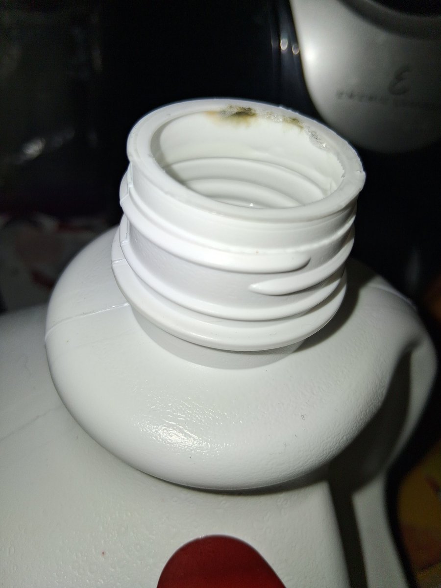 Isabella LaTour tweet media